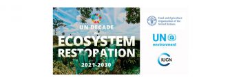 2021: UN Decade on Ecosystem Restoration begins